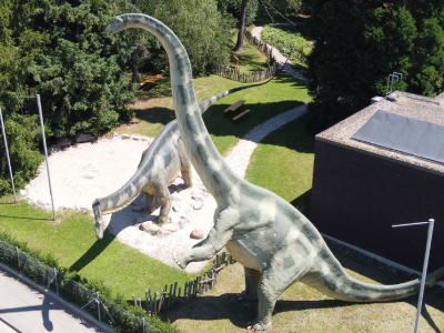 Eingangsbereich-Urweltmuseum-Hauff-Holzmaden